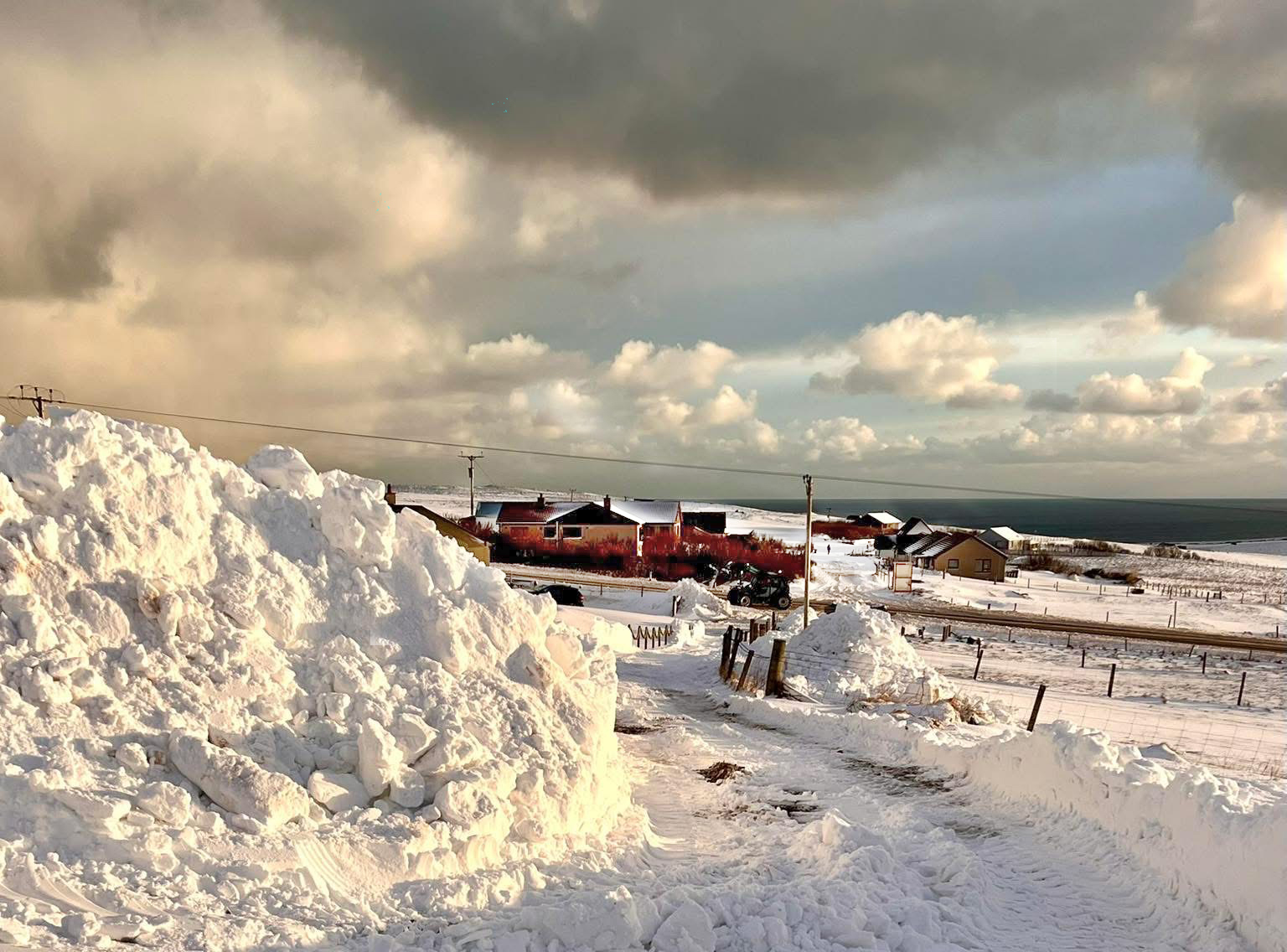 Snowscene - by Les Darlow